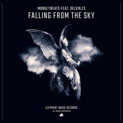 Falling from the Sky (feat. Delvin.es)/MonkeyBeats