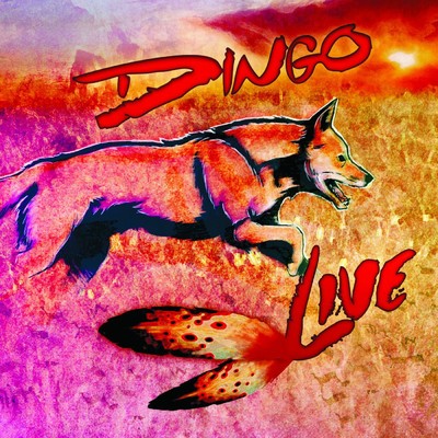 アルバム/Live/Dingo
