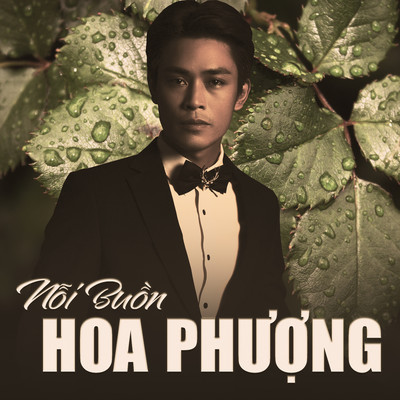 シングル/Noi Buon Hoa Phuong/Bao Nam
