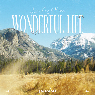 Wonderful Life/Liam May & Mason