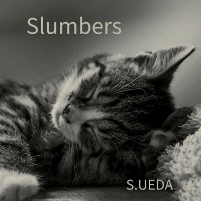 Slumbers/S.UEDA
