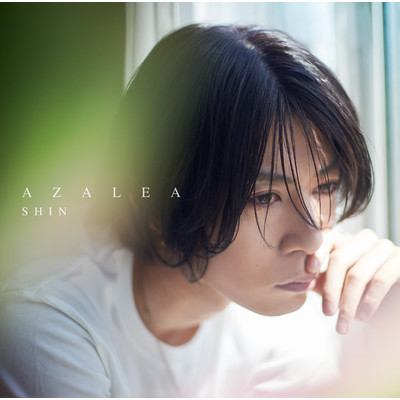 アルバム/AZALEA (PINK ver.)/SHIN