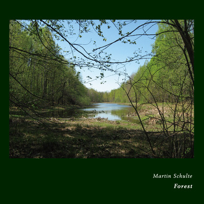 アルバム/Forest/Martin Schulte