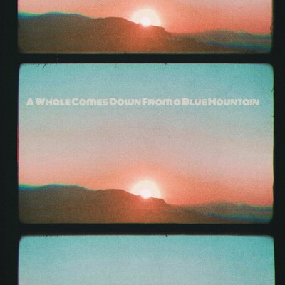 A Whale Comes Down From a Blue Mountain/The Cynical Store