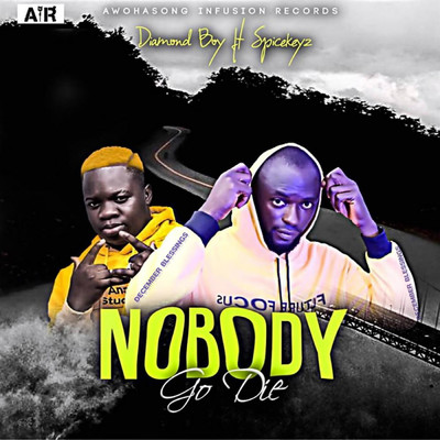 Nobody Go Die (feat. Spice Keyz)/Diamond Boy