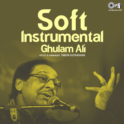 アルバム/Soft Instrumental: Ghulam Ali/Tabun Sutradhar