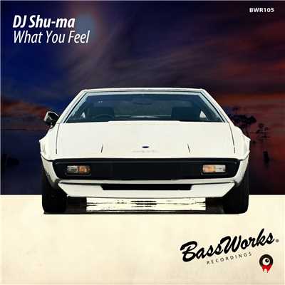 シングル/What You Feel (Ibiza Mix)/DJ Shu-ma