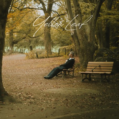 シングル/Yellow Leaf/Meste