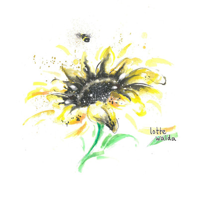 アルバム/Sunflower/Lotte Walda