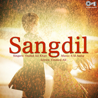 アルバム/Sangdil/Shahid Ali Khan