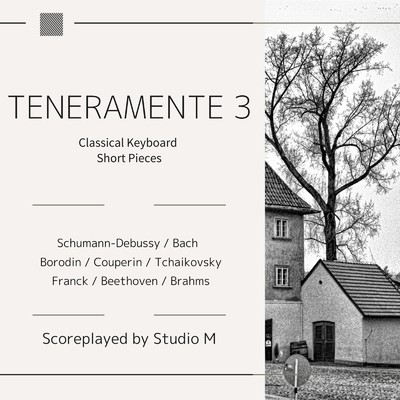 アルバム/TENERAMENTE 3/Studio M