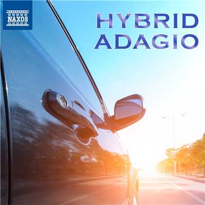 Hybrid Adagio 〜 ハイブリッド・アダージョ [愛車と愉しむ極上の静謐]/Various Artists
