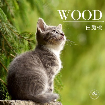 アルバム/WOOD/白兎桃