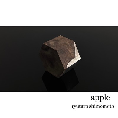 apple/ryutaro shimomoto