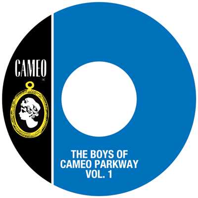The Boys Of Cameo Parkway Vol. 1/Various Artists