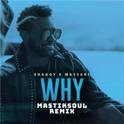 シングル/Why (Mastiksoul Remix)/Shaggy & Massari