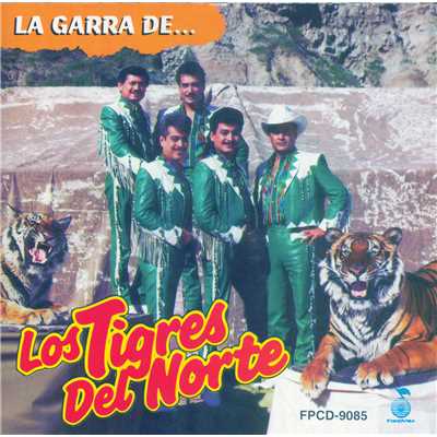 Amigos Y Mujeres (Album Version)/ロス・ティグレス・デル・ノルテ