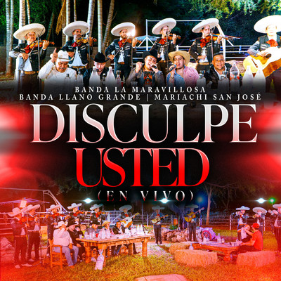 シングル/Disculpe Usted (En Vivo)/Banda La Maravillosa／Mariachi San Jose／Banda Llano Grande