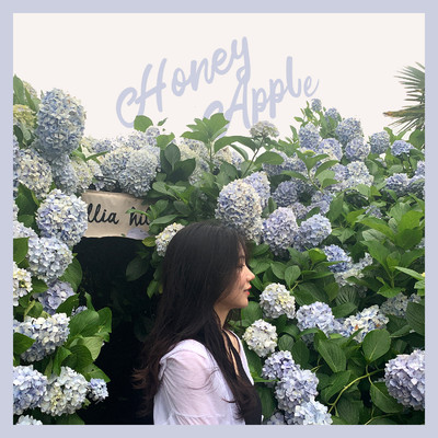 アルバム/Because Of Me/Honey Apple