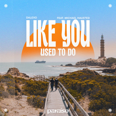 Like You Used To Do (feat. Michael Hausted)/DALEXO