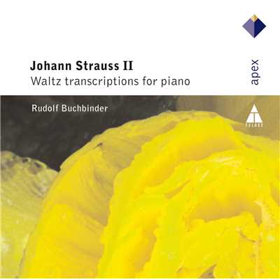 Paraphrasen uber Motive von Johann Strauss, Op. 10: No. 3, Geschichten aus dem Wiener Wald (After Johann Strauss' Op. 325)/Rudolf Buchbinder