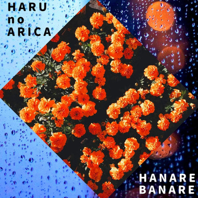 HANARE BANARE/ハルノアリカ
