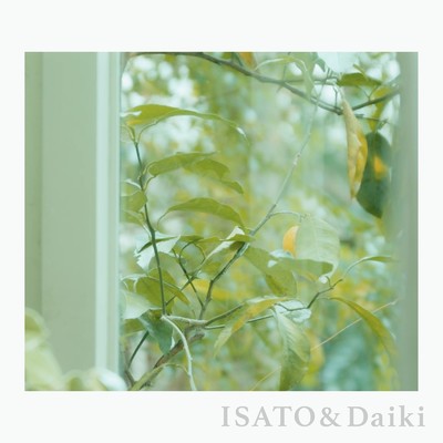 Haru ／ かぼちゃタルト/ISATO & Daiki