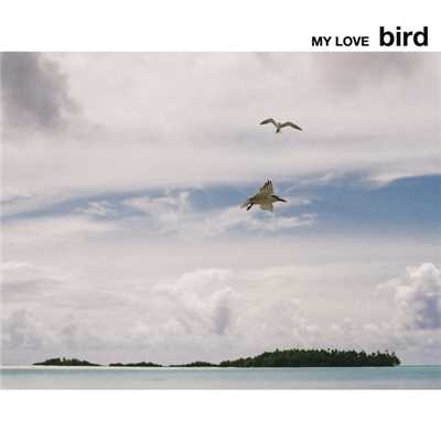 MY LOVE/bird