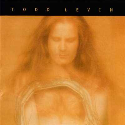 Prayer - In A Dream You Saw A Way To Survive And You Were Full Of Joy/マイケル・リースマン／Todd Levin Music