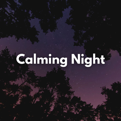アルバム/Calming Night/Midnight Jewels