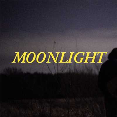 シングル/Moonlight/Shy Albatross