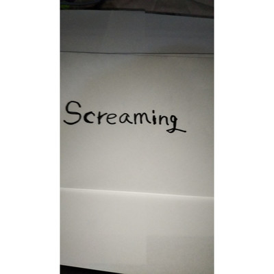 screaming/t-sugiyaman