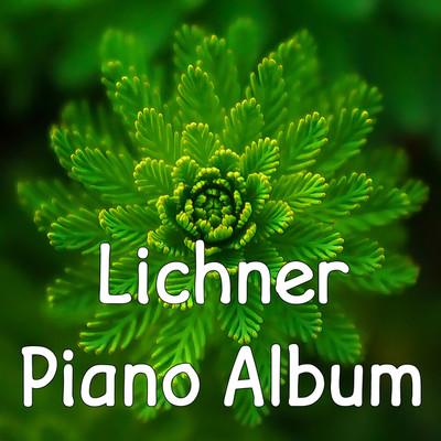 シングル/Forget Me Not/Pianozone , Heinrich Lichner