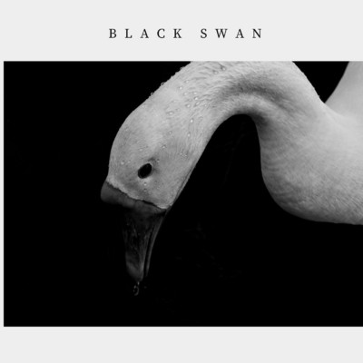 Black Swan/Don Triver