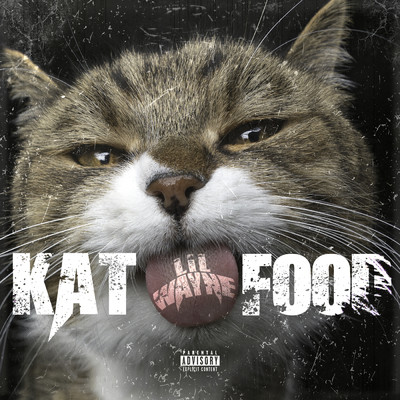 シングル/Kat Food (Explicit)/リル・ウェイン