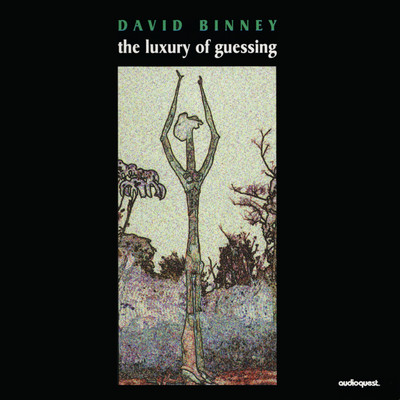 シングル/The Luxury of Guessing/David Binney