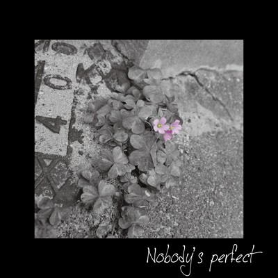 Nobody's perfect/3WAG