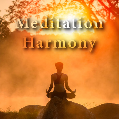 アルバム/Meditation: Harmony/Relax α Wave