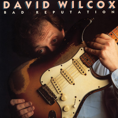 Preachin' The Blues/David Wilcox