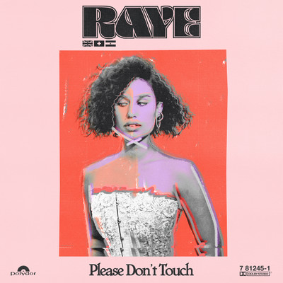 アルバム/Please Don't Touch/レイ