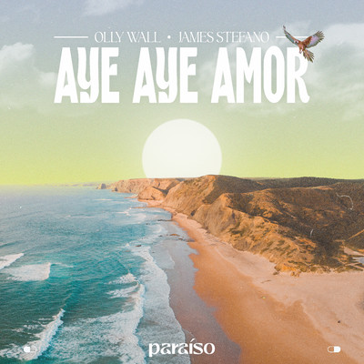 Aye Aye Amor/Olly Wall & James Stefano