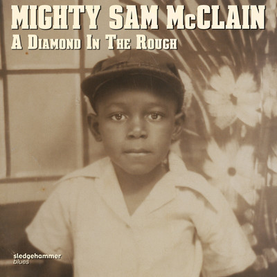 アルバム/A Diamond in the Rough/Mighty Sam McClain