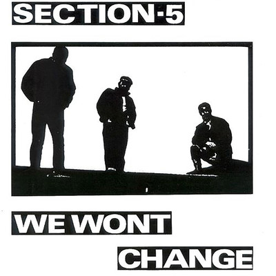 アルバム/We Won't Change/Section 5