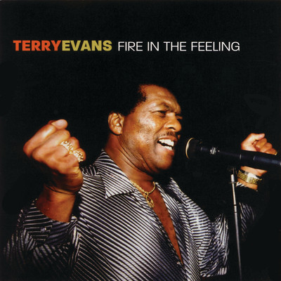 アルバム/Fire In the Feeling/Terry Evans