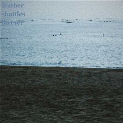 海辺の電車 (feat. uccelli)/feather shuttles forever