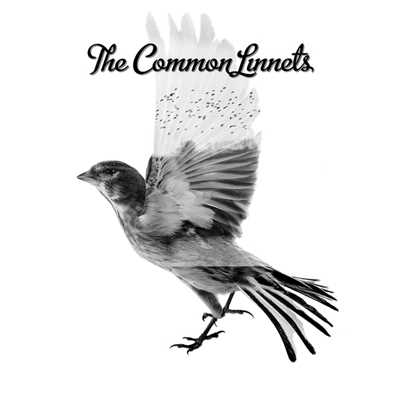 The Common Linnets/The Common Linnets