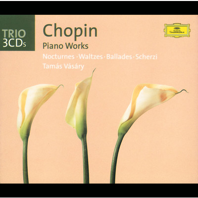 Chopin: Nocturne No. 13 in C Minor, Op. 48 No. 1/タマーシュ・ヴァーシャリ