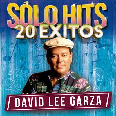 アルバム/Solo Hits (20 Exitos)/David Lee Garza