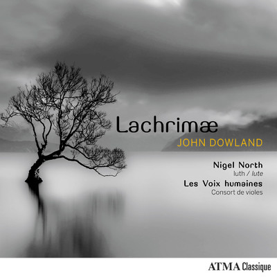 シングル/Dowland: Lachrimae Amantis/ナイジェル・ノース／Les Voix humaines