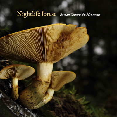 Nightlife forest/Rowan Guthrie & Housman